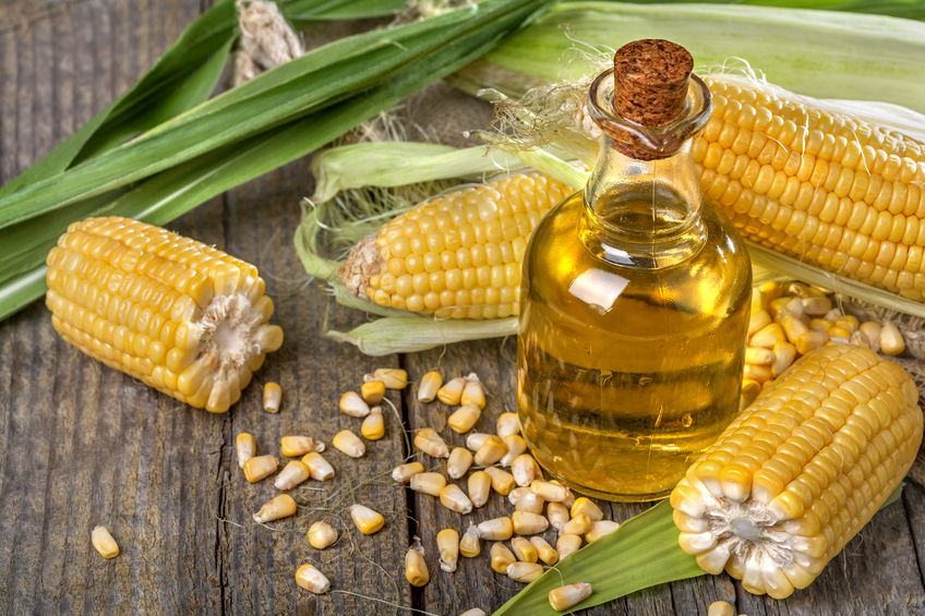 Corn Oil – Global Biologics Industries S.L.